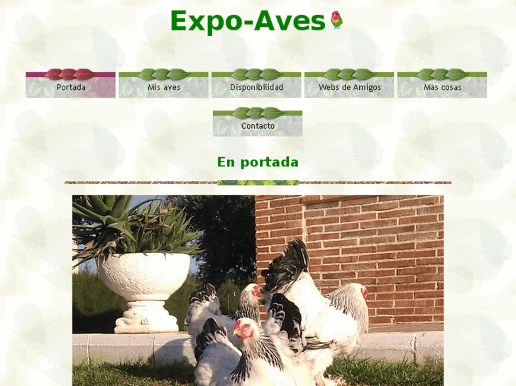 www.expo-aves.com