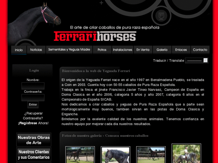 www.ferrarihorses.com