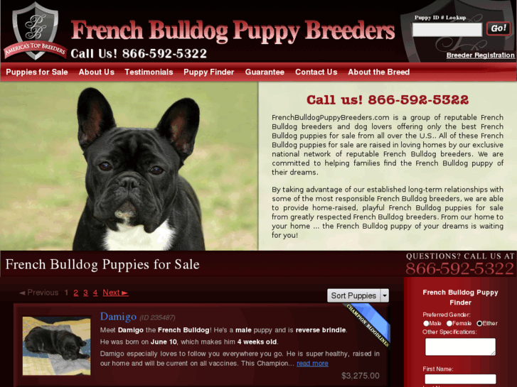 www.frenchbulldogpuppybreeders.com