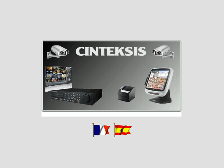 www.videovigilancia-cintek.es