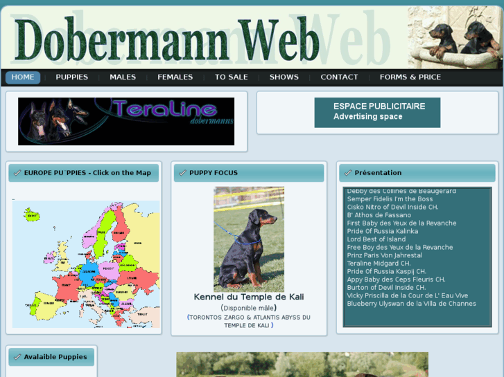 www.dobermann-web.com