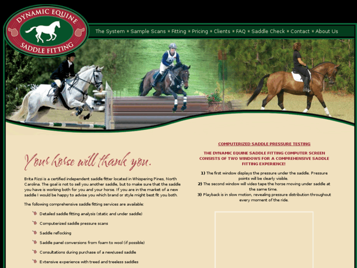 www.dynamicsaddlefitting.com