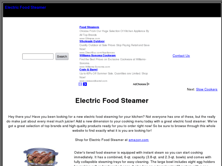 www.electricfoodsteamer.com