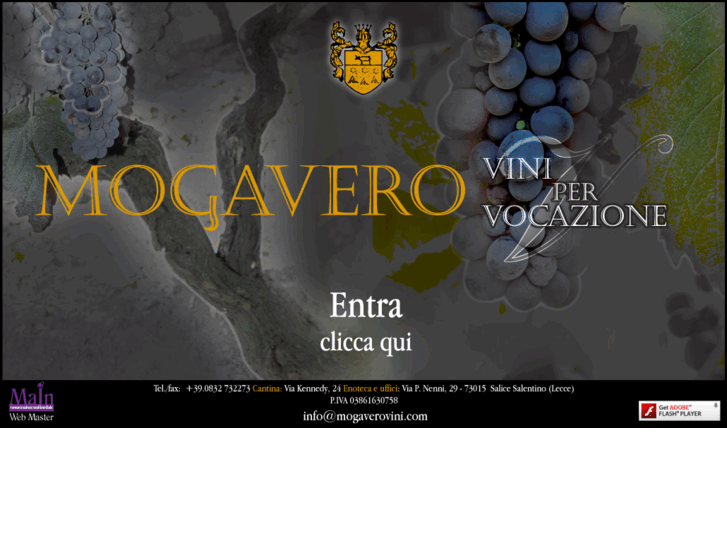 www.mogaverovini.com