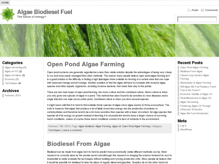 www.algaebiodieselfuel.org