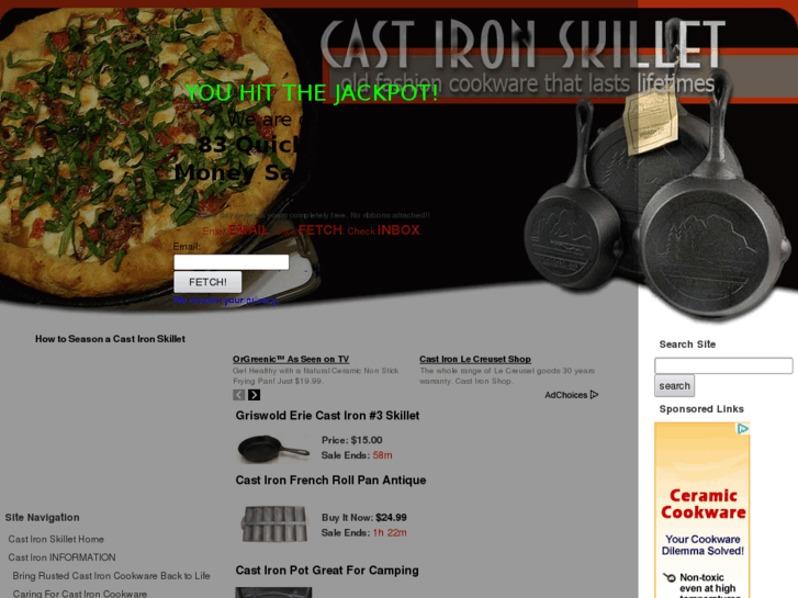 www.cast-iron-skillet.com