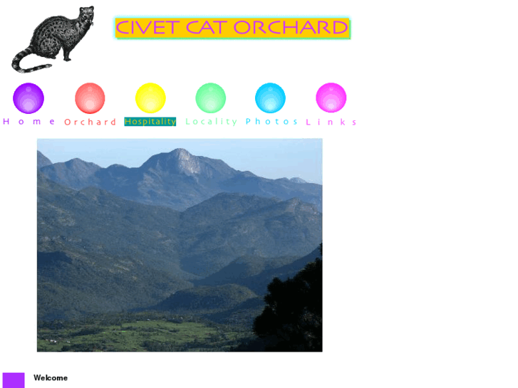 www.civetcat.com
