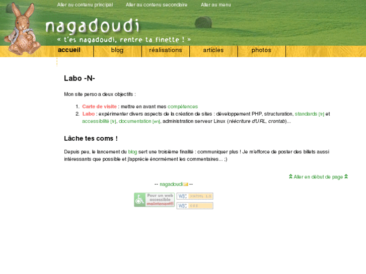 www.nagadoudi.info