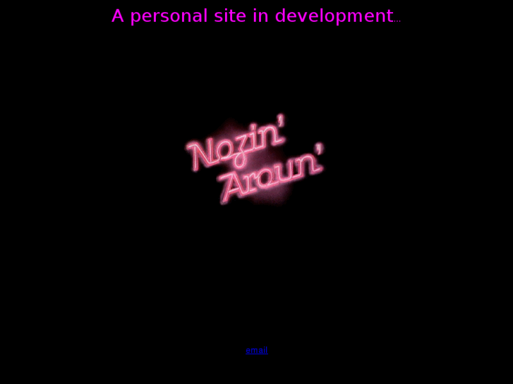 www.nozingaround.com