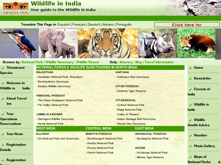 www.wildlifeinindia.com