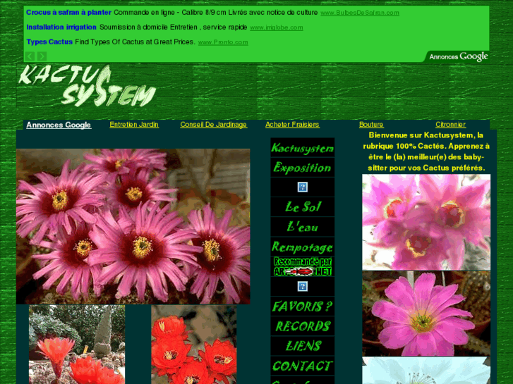 www.cactusystem.com