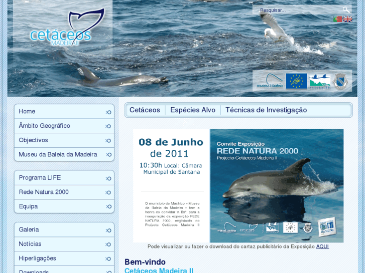 www.cetaceos-madeira.com