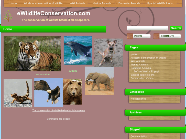 www.ewildlifeconservation.com