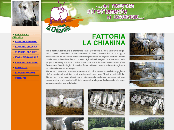 www.fattorialachianina.com