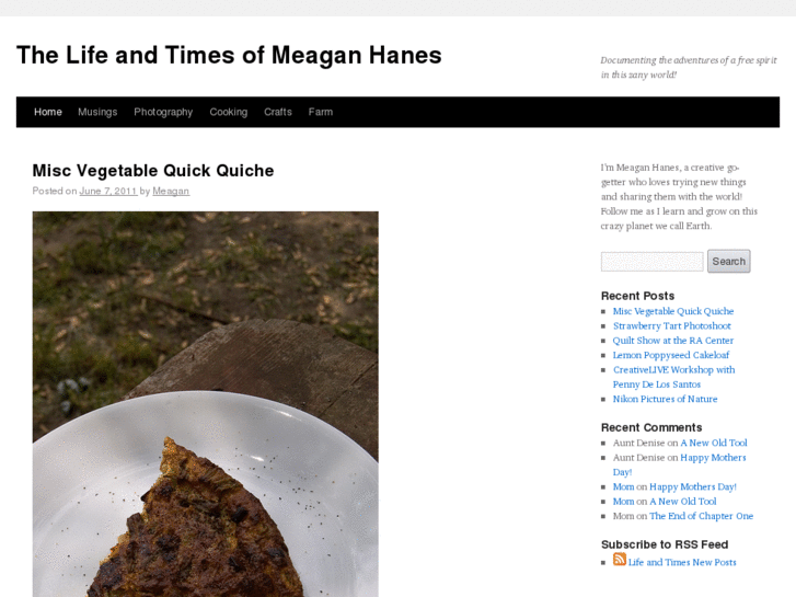 www.meaganhanes.com