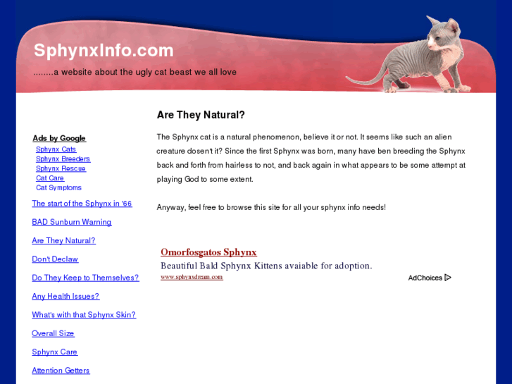 www.meowacressphynx.com