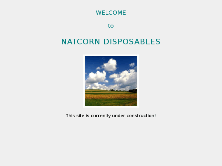 www.natcorndisposables.com