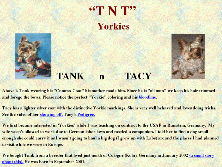 www.tntyorkies.com