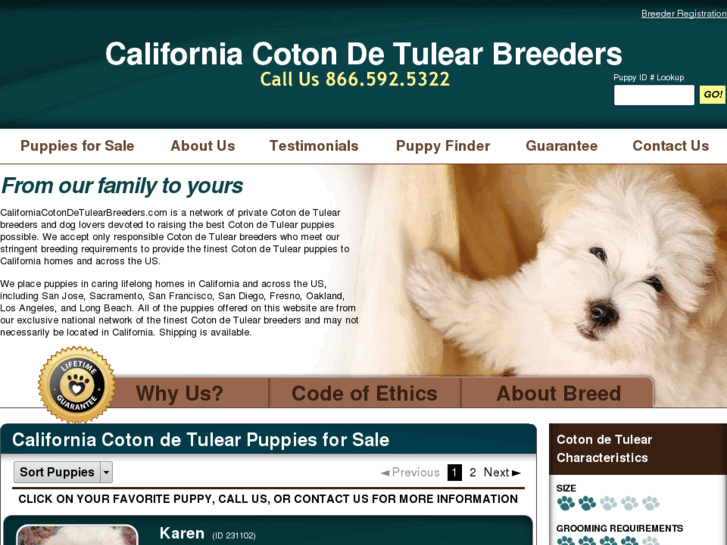 www.californiacotondetulearbreeders.com