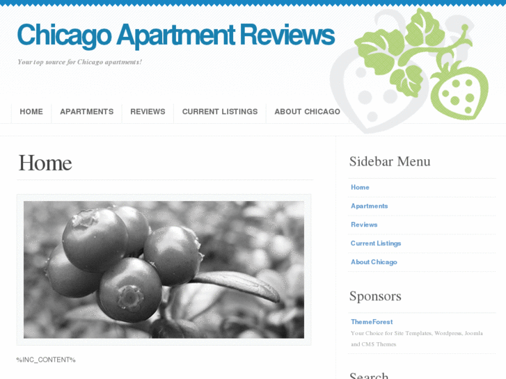 www.chicagoapartmentreview.com