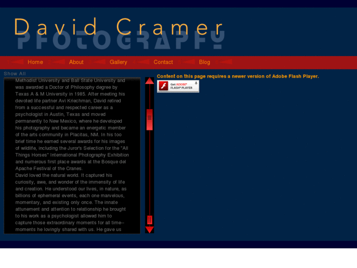 www.davidcramer.com