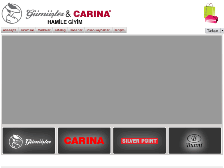 www.gumuslercarina.com