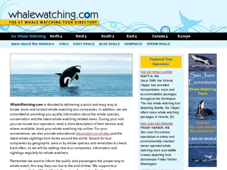 www.whalewatching.com