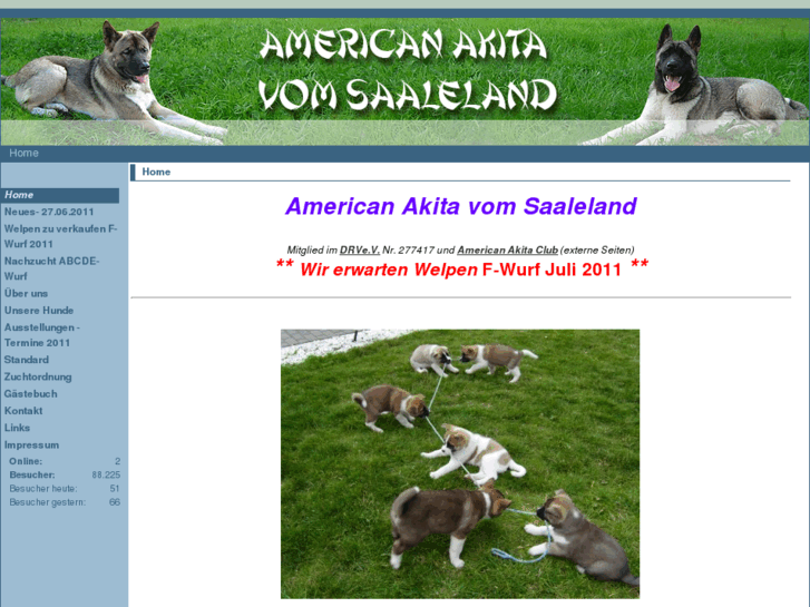 www.american-akitas.de