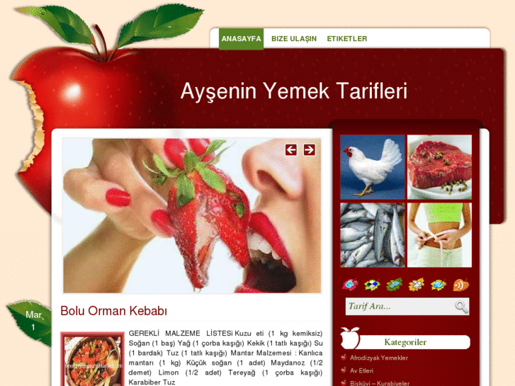 www.ayseninyemektarifleri.com