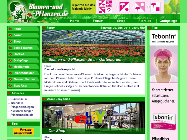 www.blumen-und-pflanzen.com