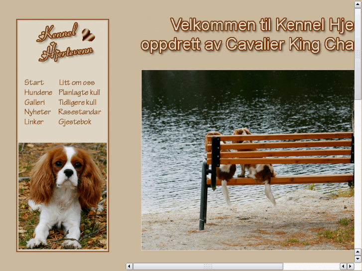www.kennel-hjertevenn.com