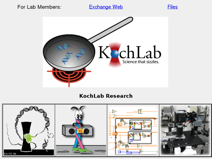 www.kochlab.org