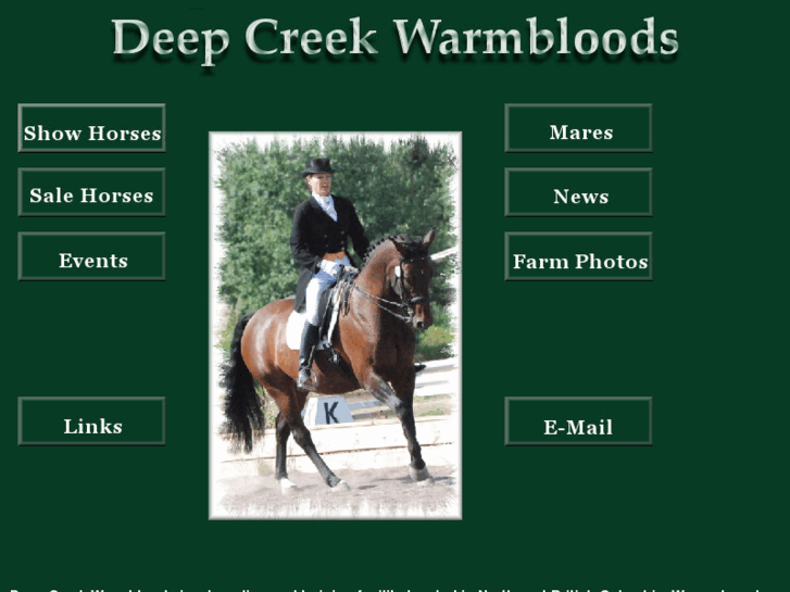 www.dcwarmbloods.com