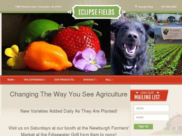 www.eclipsefields.com