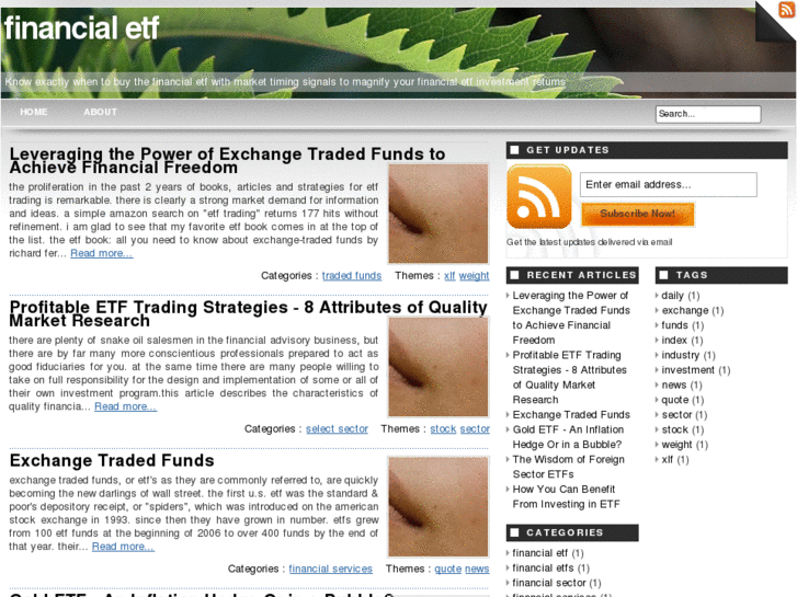 www.financialetf.info