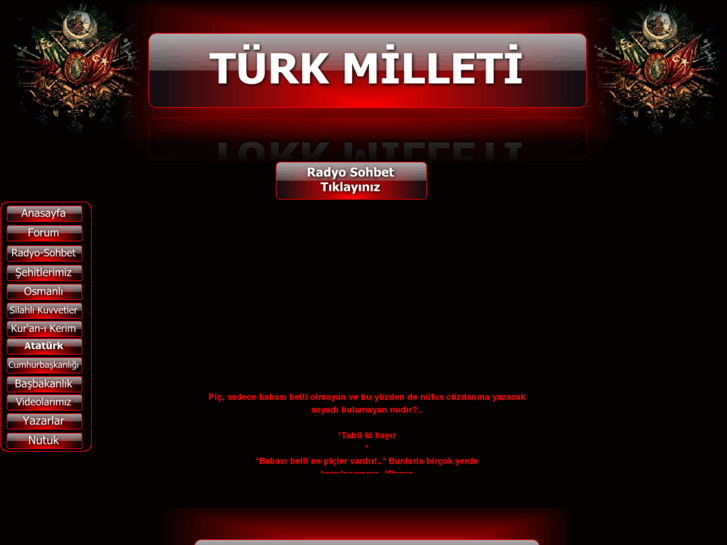 www.turkmilleti.org