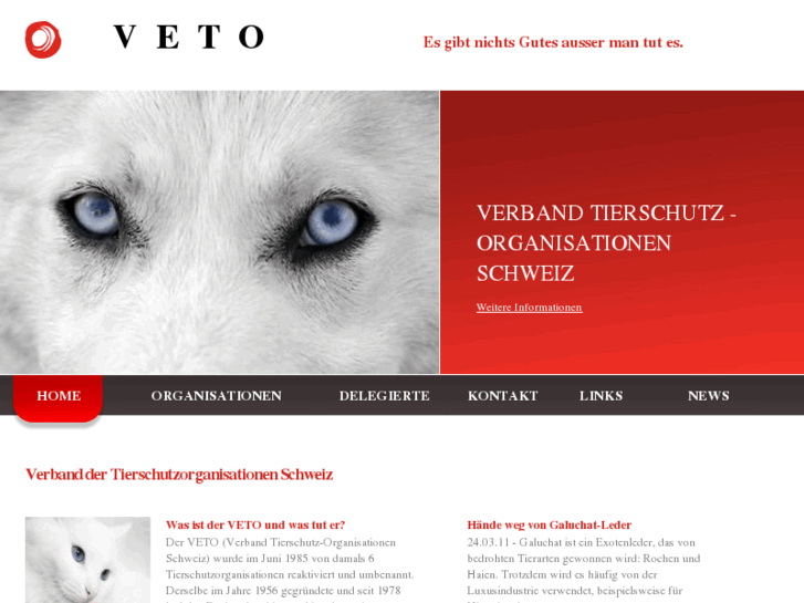 www.veto-schweiz.org