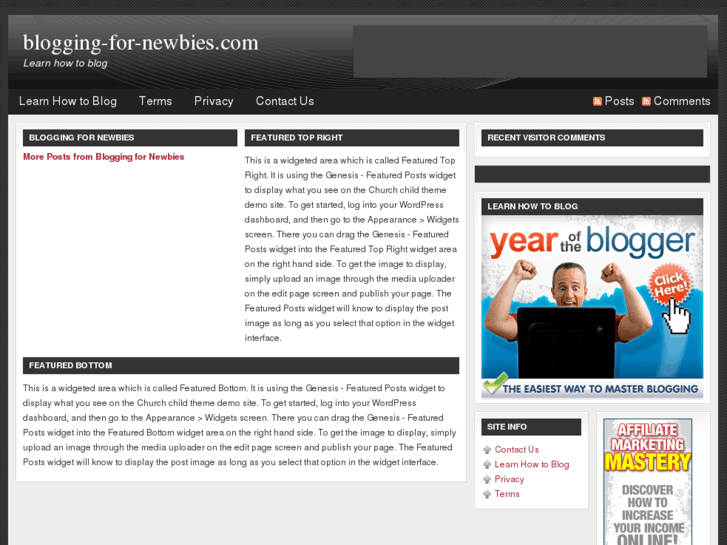 www.blogging-for-newbies.com