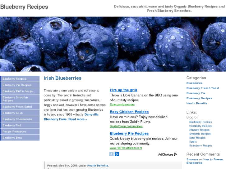 www.blueberryrecipes.org