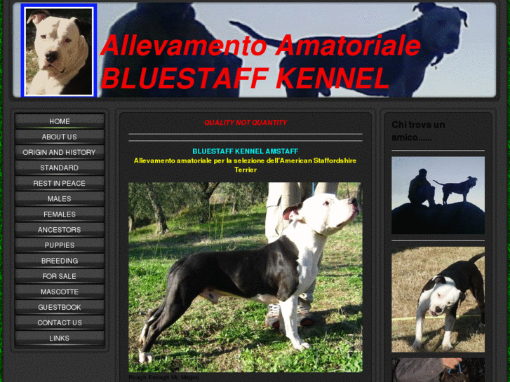 www.bluestaffkennel.com