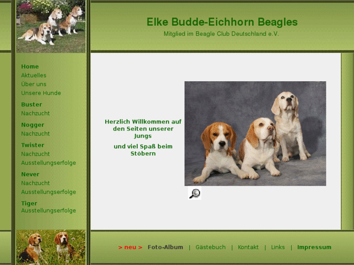 www.budde-beagles.com