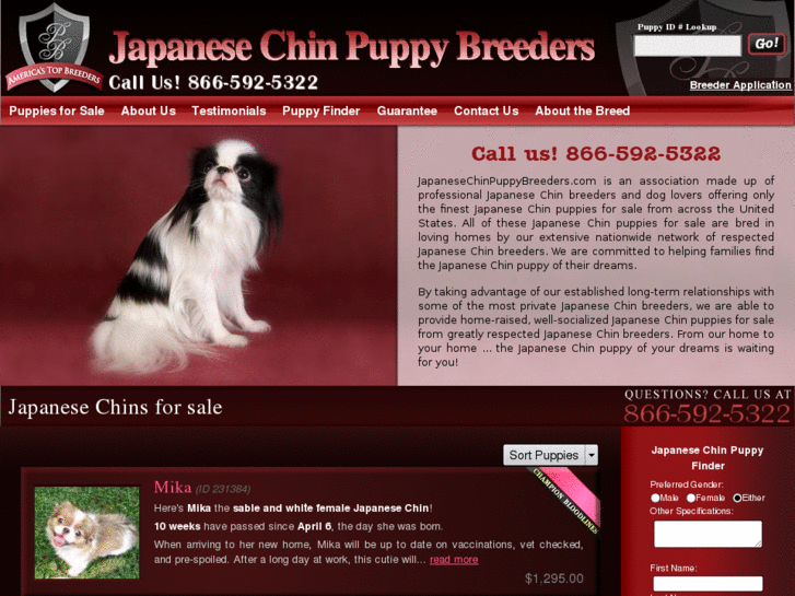 www.japanesechinpuppybreeders.com