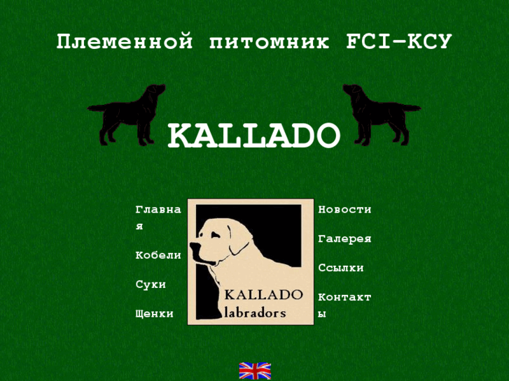 www.kallado-labradors.com