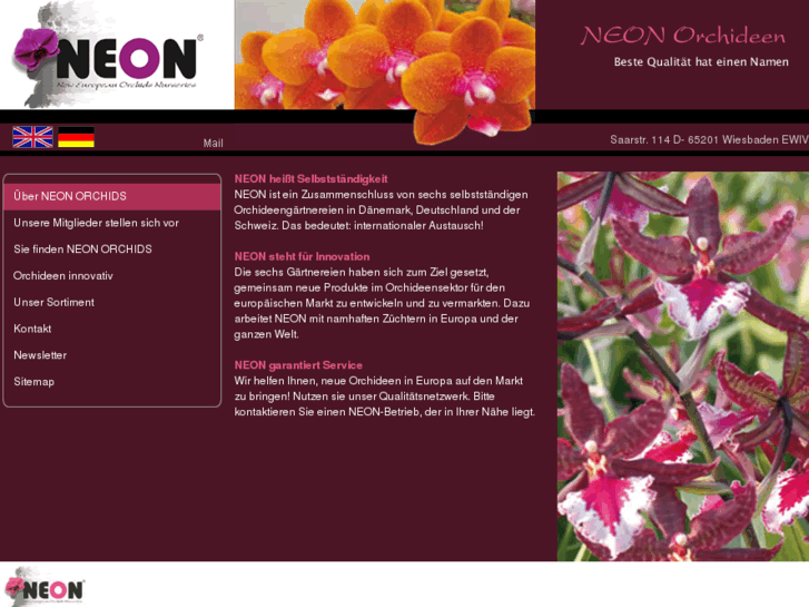 www.neon-orchids.com