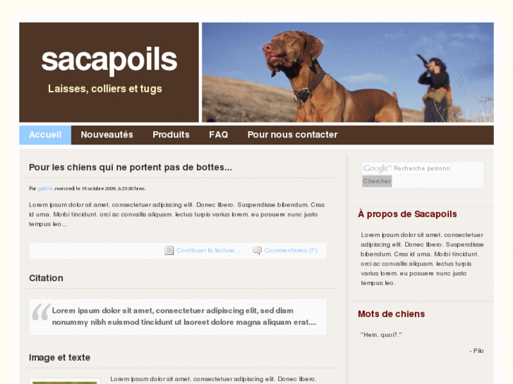 www.sacapoils.com