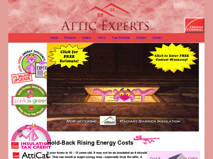 www.atticexperts.net