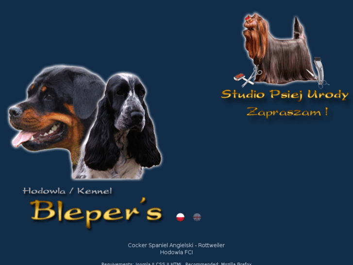 www.blepers.pl