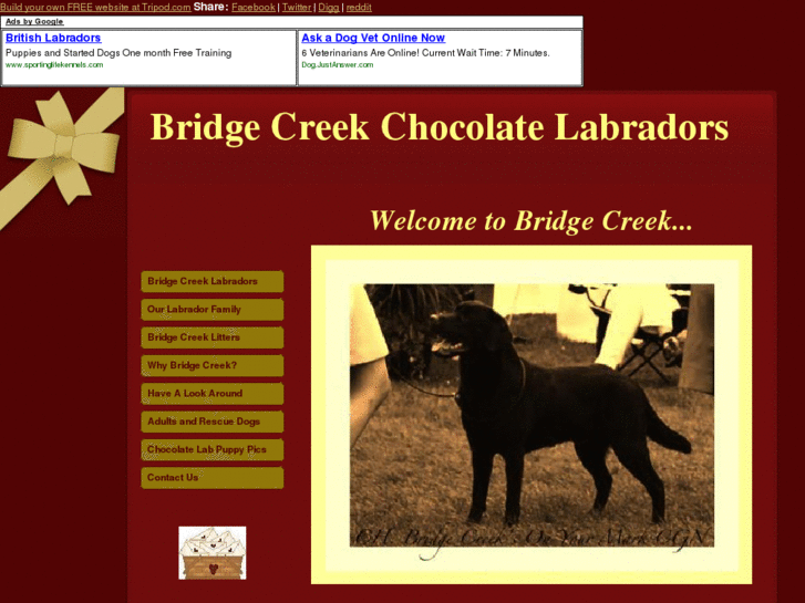 www.bridgecreeklabs.com