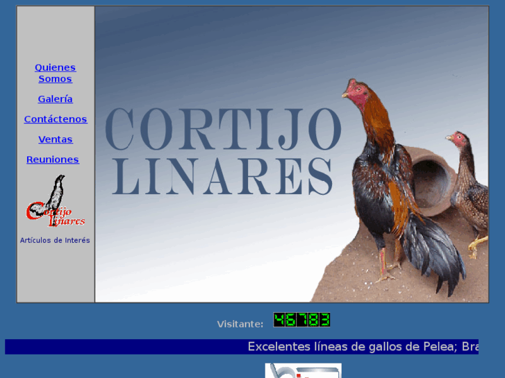 www.cortijolinares.com