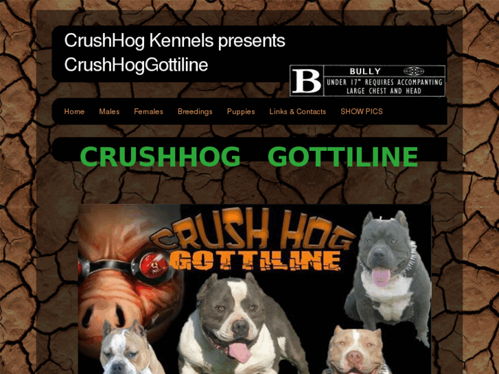 www.crushhoggottiline.com